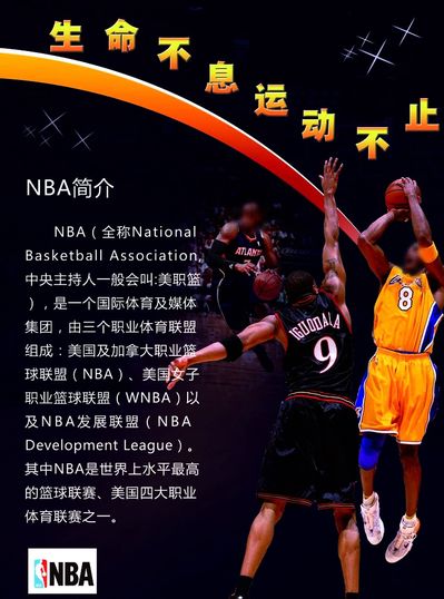 挑战案例