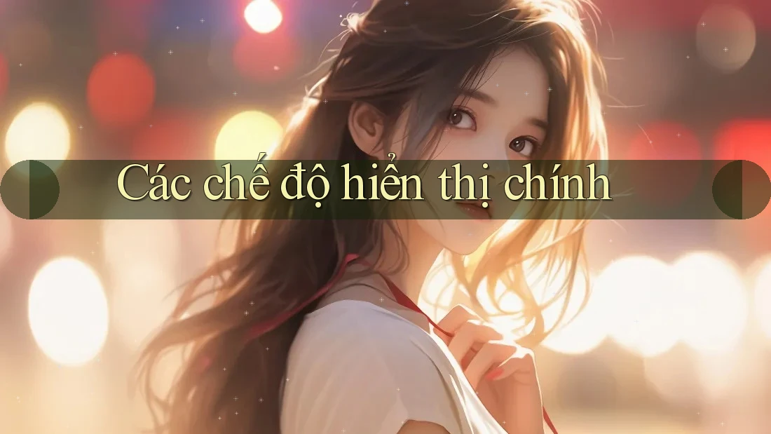 Các chế độ hiển thị chính Các chế độ hiển thị chính