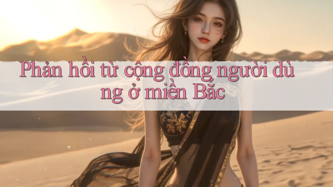 Phản hồi từ cộng đồng người dùng ở miền Bắc