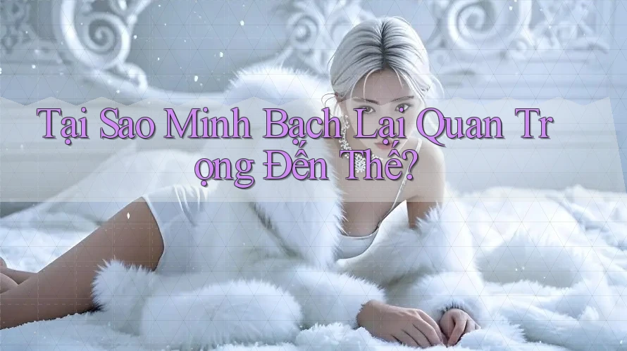 Tại Sao “Minh Bạch” Lại Quan Trọng Đến Thế? Tại Sao “Minh Bạch” Lại Quan Trọng Đến Thế?